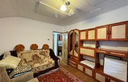 Casă individuală, 101 mp, zonă Centrală - Valea Roșie