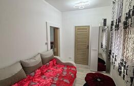 Casă de vânzare, 35 mp, zona Valea Rosie - Parcul Mare