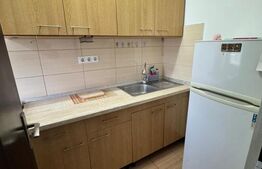 Garsonieră pe două niveluri, 39.64 mp, zona Bogdan Voda