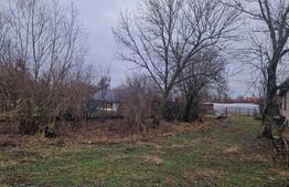 Casă veche cu teren generos – sat Mogoșești, com. Satu Lung | 18 ari