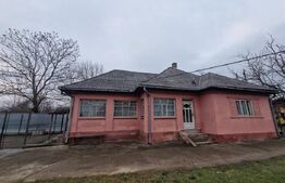 Casă veche cu teren generos – sat Mogoșești, com. Satu Lung | 18 ari