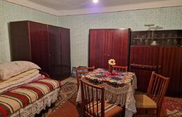 Casă veche cu teren generos – sat Mogoșești, com. Satu Lung | 18 ari