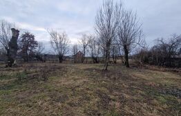 Casă veche cu teren generos – sat Mogoșești, com. Satu Lung | 18 ari