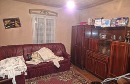 Casă veche cu teren generos – sat Mogoșești, com. Satu Lung | 18 ari