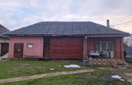 Casă veche cu teren generos – sat Mogoșești, com. Satu Lung | 18 ari