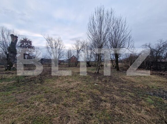 Casa de vânzare 3 camere Mogosesti - 187772CV | BLITZ Baia Mare | Poza4