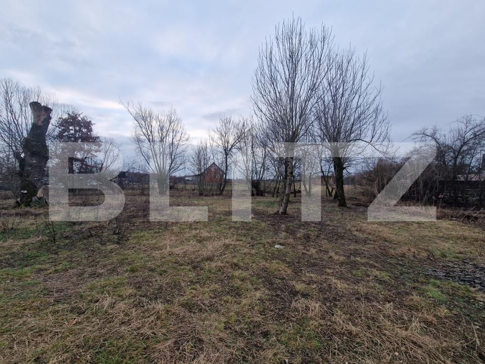 Casa de vânzare 3 camere Mogosesti - 187772CV | BLITZ Baia Mare | Poza4