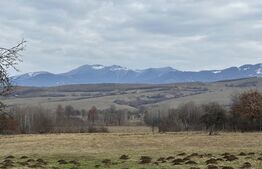 Oportunitate Logistică Premium – 3 Ha la Drum Național, Nod Rutier și Vam