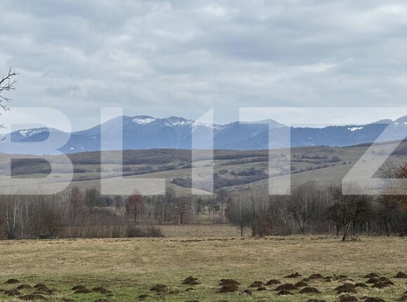 Teren de vânzare Sighetu Marmatiei - 187804TV | BLITZ Baia Mare | Poza1