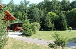 Investiție cu randament activ – Pensiune în proximitatea Aeroportului Maramureș