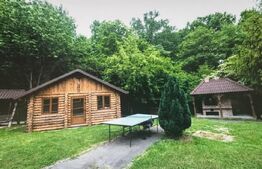 Investiție cu randament activ – Pensiune în proximitatea Aeroportului Maramureș