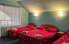 Investiție cu randament activ – Pensiune în proximitatea Aeroportului Maramureș