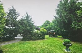 Investiție cu randament activ – Pensiune în proximitatea Aeroportului Maramureș