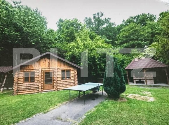 Spațiu comercial de vânzare Tautii-Magheraus - 188024SVC | BLITZ Baia Mare | Poza2