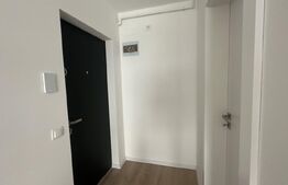 Garsonieră 1 cameră, 25 mp, zona Valea Borcutului