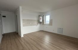 Garsonieră 1 cameră, 25 mp, zona Valea Borcutului