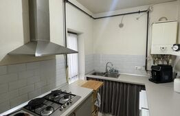 Casă modernă, parter, eficientă energetic, complet mobilată – Satu Nou de Jos