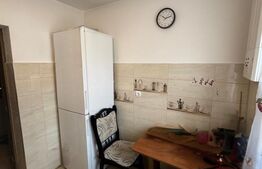 Apartament 3 camere, central, 68 mp, mobilat – Baia Sprie