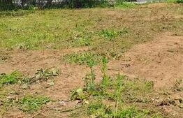 Teren intravilan 3.415 mp | Centru Tăuții-Măgherăuș