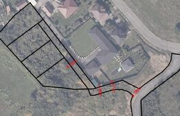 Teren de vânzare Baia Sprie - 191628TV | BLITZ Baia Mare | Poza2