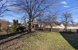 🏡 Casă spațioasă, complet mobilată, în zonă liniștită – Tăuții-Măgherăuș