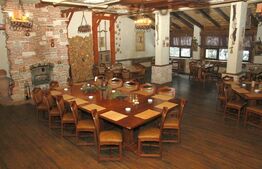 Proprietate HoReCa, 300 mp, zona Central 