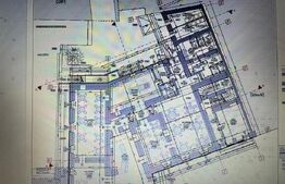 Proprietate HoReCa, 300 mp, zona Central 