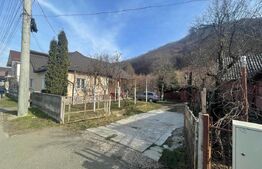 Casă unifamilială cu curte proprie, 100 mp, zona Ferneziu
