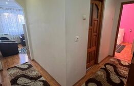 Apartament 3 camere, 55 mp utili, zona Bogdan Voda