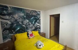 Apartament cu 2 intrari, beci 27 mp, mobilat – Orasul Vechi