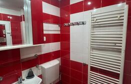 Apartament cu 2 intrari, beci 27 mp, mobilat – Orasul Vechi