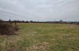 Teren intravilan 72 ari, front generos 54 ml – Zona Două Veverițe