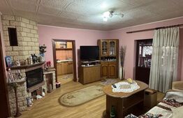 Casă cochetă în Lăpușel, zonă liniștită – 70 mp, teren 4,5 ari.