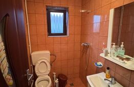 Casă cochetă în Lăpușel, zonă liniștită – 70 mp, teren 4,5 ari.