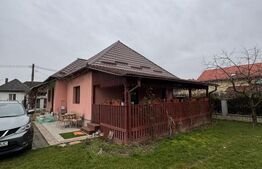 Casă cochetă în Lăpușel, zonă liniștită – 70 mp, teren 4,5 ari.