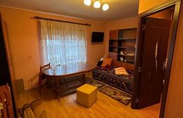 Casă cochetă în Lăpușel, zonă liniștită – 70 mp, teren 4,5 ari.