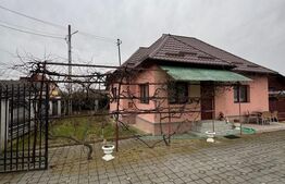 Casă cochetă în Lăpușel, zonă liniștită – 70 mp, teren 4,5 ari.