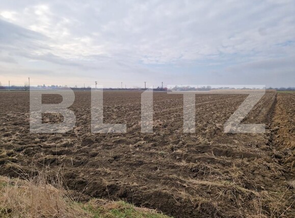 Teren de vânzare Hideaga - 188950TV | BLITZ Baia Mare | Poza2