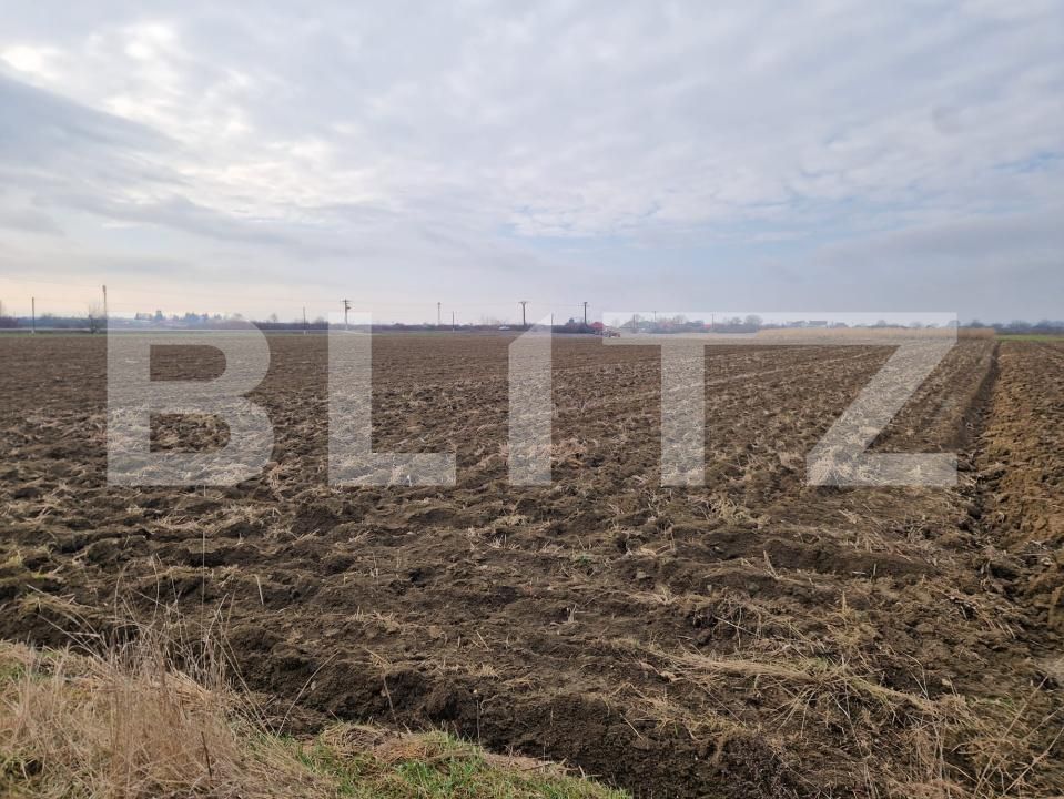 Teren de vânzare Hideaga - 188950TV | BLITZ Baia Mare | Poza2
