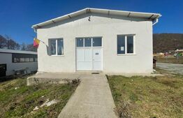 Oportunitate Tautii Magheraus - Hale noi si teren