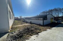 Oportunitate Tautii Magheraus - Hale noi si teren