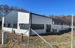 Oportunitate Tautii Magheraus - Hale noi si teren