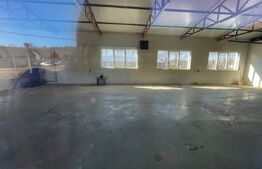 Oportunitate Tautii Magheraus - Hale noi si teren