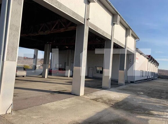 Spațiu industrial de vânzare Exterior Sud - 189296SVI | BLITZ Baia Mare | Poza1