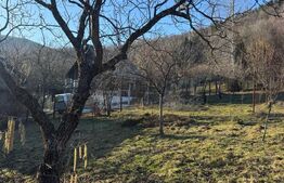 Casă 3 dormitoare, 90 mp, teren 10 ari, zona Firiza