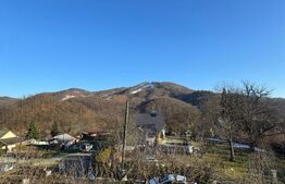 Casă 3 dormitoare, 90 mp, teren 10 ari, zona Firiza