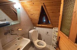 Casă 3 dormitoare, 90 mp, teren 10 ari, zona Firiza