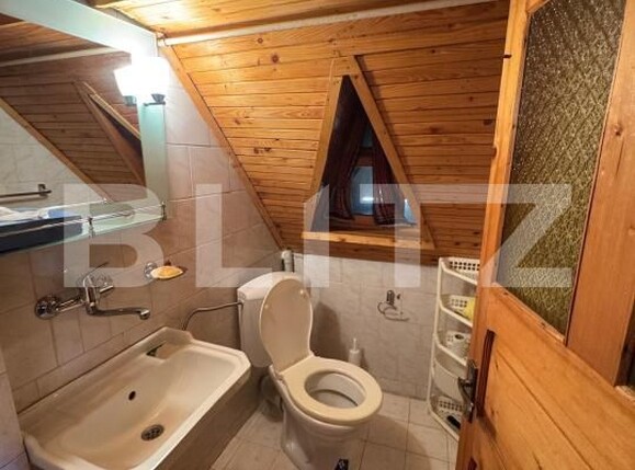 Casa de vânzare 4 camere Firiza - 189415CV | BLITZ Baia Mare | Poza14