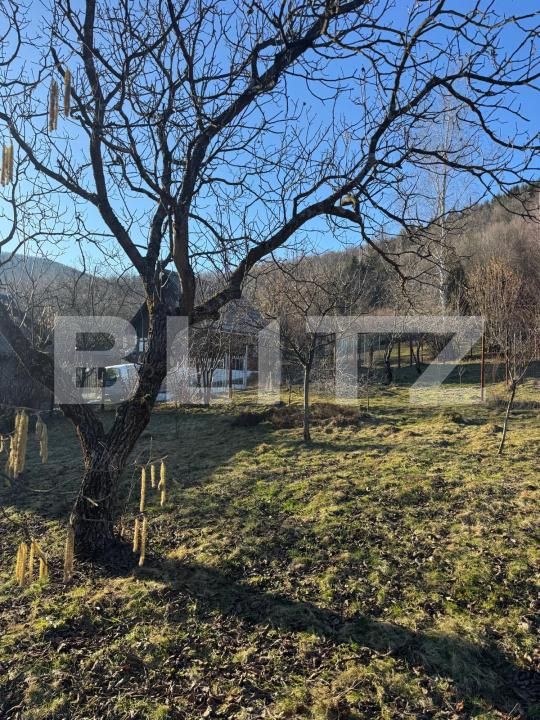 Casa de vânzare 4 camere Firiza - 189415CV | BLITZ Baia Mare | Poza17