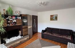 Apartament 2 camere, 40 mp, zona Școala Dimitrie Cantemir